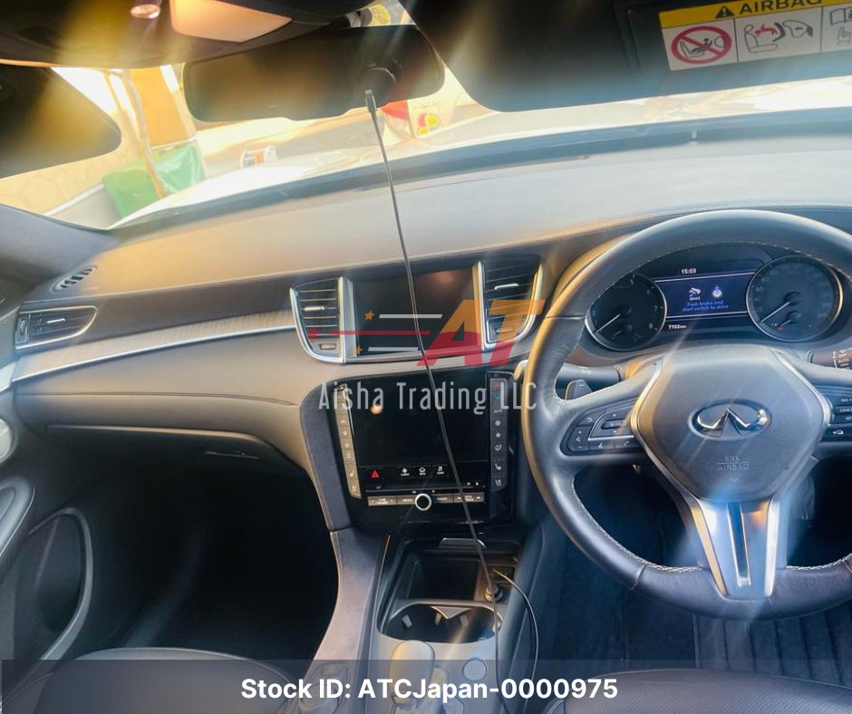2019 Infinity QX50